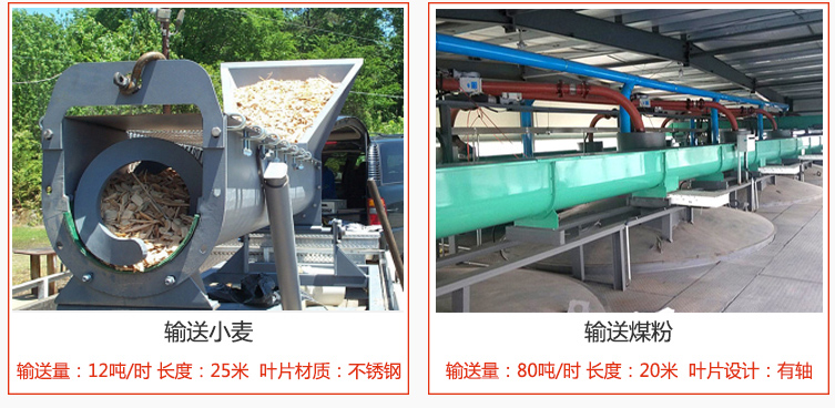 絞龍螺旋輸送機輸送小麥輸送量在12噸/時，長度為25米，葉片采用不銹鋼材質(zhì)；輸送水泥輸送量在80噸/時，長度為20米，葉片設(shè)計為有軸。