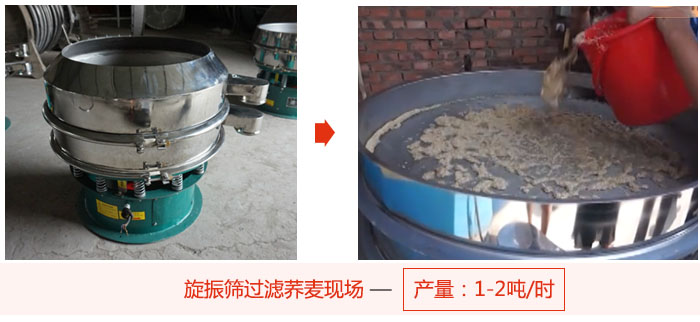 旋振篩過濾蕎麥現(xiàn)場，產(chǎn)量可達(dá)2噸每小時。